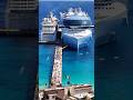 Big Size Difference Between Icon Of The Seas And Radiance Of The Seas ЁЯШоЁЯЫ я ПЁЯТж Big Size Difference Between Icon Of The Seas And Radiance Of The Seas ЁЯШоЁЯЫ я ПЁЯТж