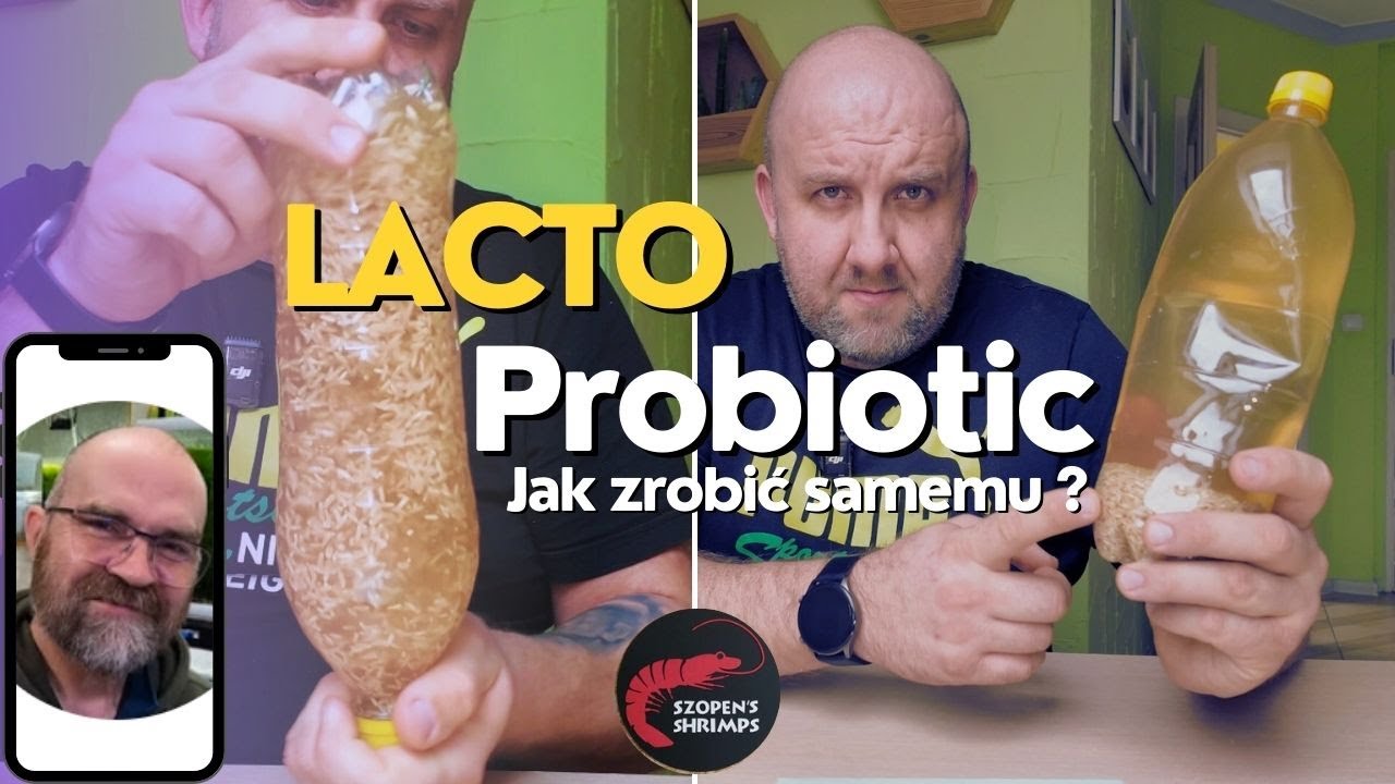 LACTO PRIOBIOTIC - JAK ZROBIĆ SAMEMU ? / DIY