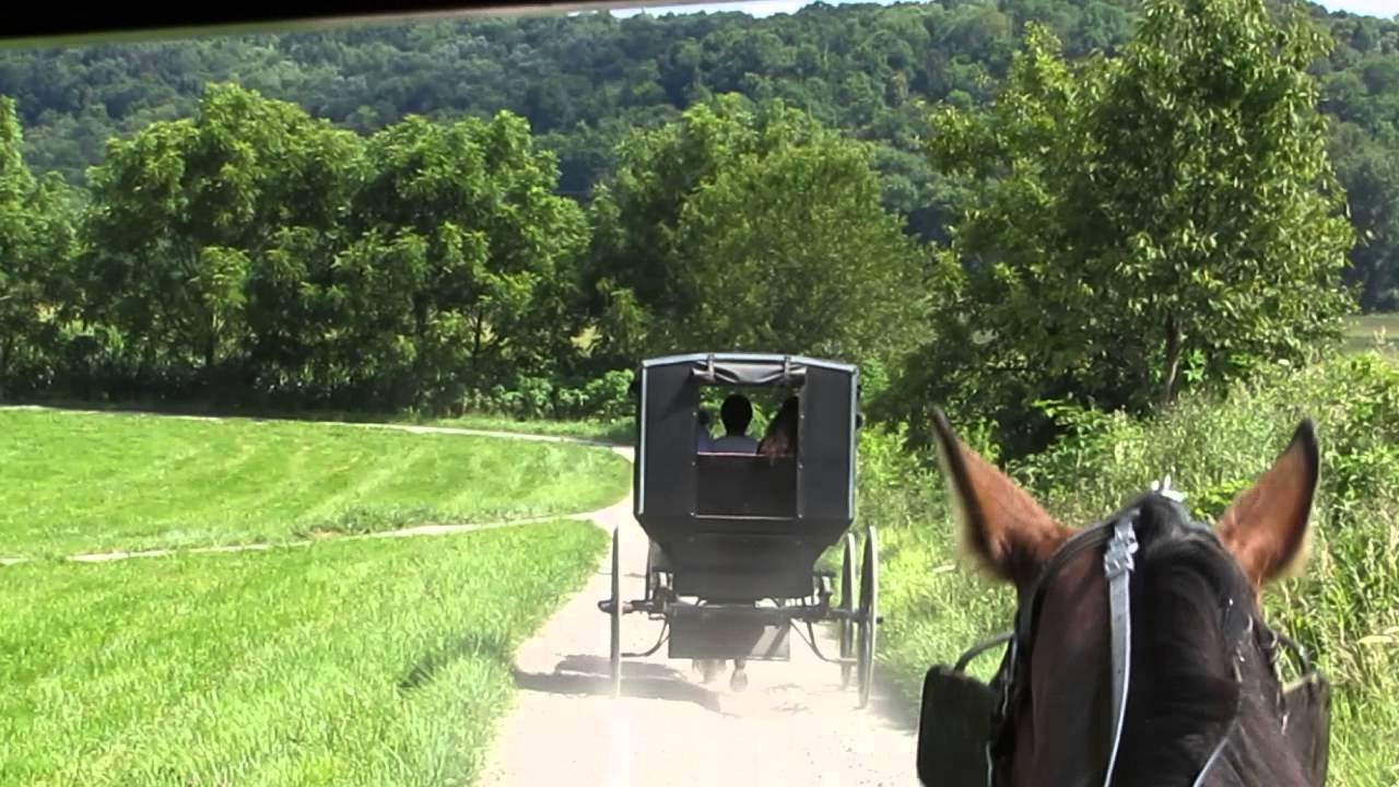 Amish Buggy Ride, Ohio Amish Country YouTube