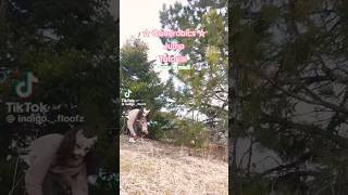 Therian Jump Tutorial 🦊🎀