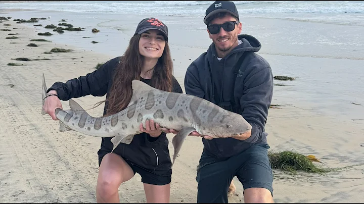 Leopard Shark Fishing From The Beach - So Cal Surf Fishing For Sharks