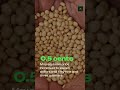 Corn Drops, Cattle EXPLODE Higher 🔥 | Ag Market Update #Corn #Cattle #Soybeans #Wheat #Farming #cow