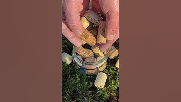 This Camping Hack Will Start a Fire in Seconds! 🔥 #camping #lifehacks #survival