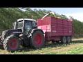 Willow Harvesting with Gorthill Farm Contracting " The Willow Specialists" Fendt 718 Black Beauty