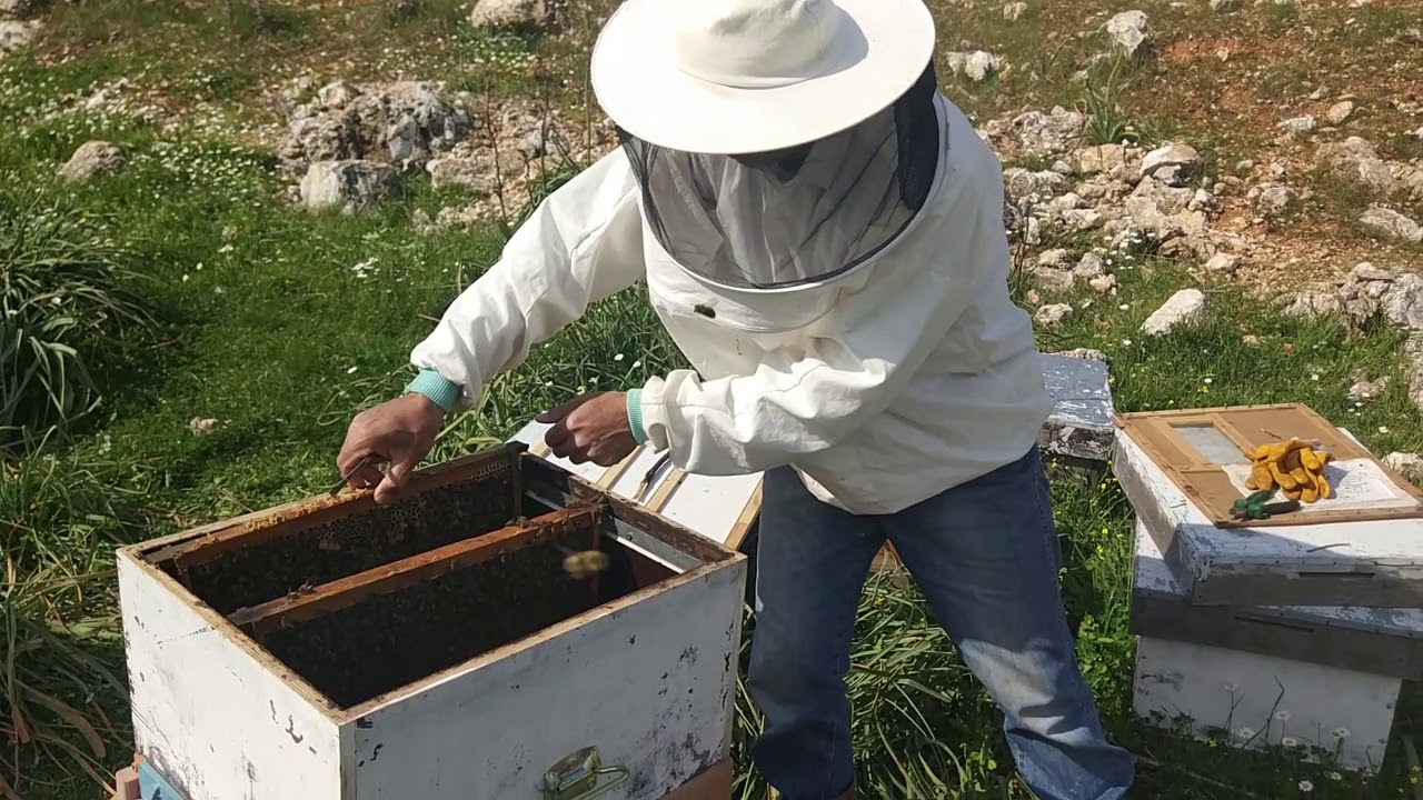 OĞULA YATAN ARIYA NE YAPTIK?