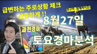 8월27일 토요경마 라이브 급변화하는 서울주로상황 체크…