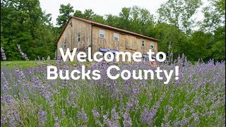 Welcome to Bucks County, PA