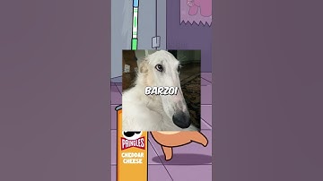 Origin of Borzoi Dog Meme #memes