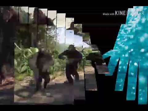 La Melaza llegan lo mono ( vídeo oficial) video editing software free