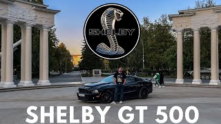 : Shelby GT500 |   