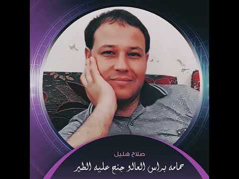 صلاح هليل حمامة براس العلو جنح عليها الطير