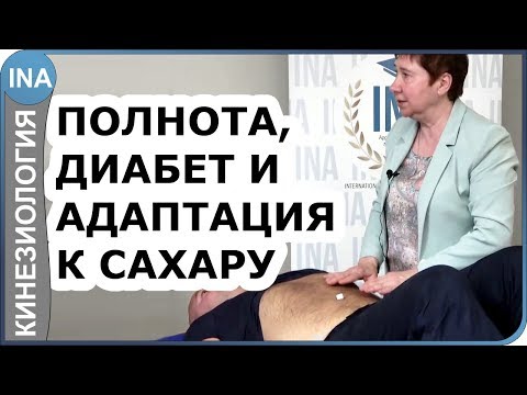 Полнота, диабет и адаптация к сахару. Проф. Васильева кинезиология