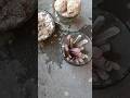 slate pencil#satisfying#slate#asmr