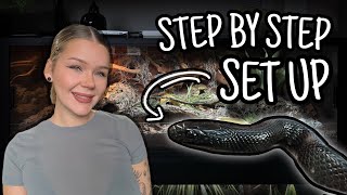 The Ultimate Kingsnake Enclosure Step By Step Bioactive