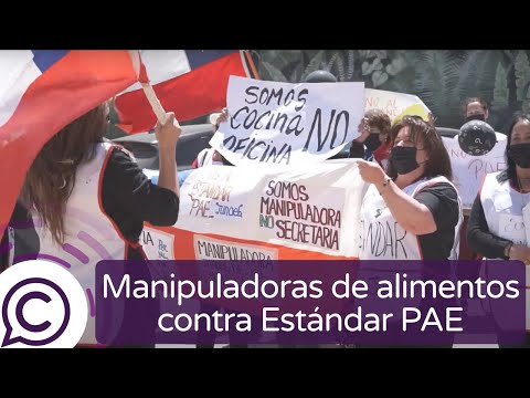 Manipuladoras de alimentos JUNAEB de Pichilemu protestan contra Estándar PAE