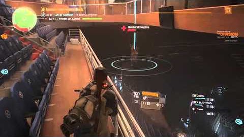 THE DIVISION  BETA BUG