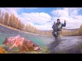 Pecanje u Mongoliji na reci Šiškid II deo | Fishing in Mongolia river Siskid 2 Fly Fishing