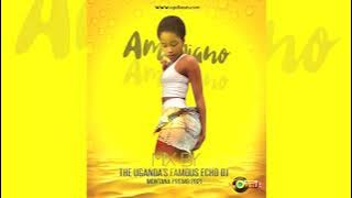 Amapiano MixTape Vol.1 Mix By Echo DJ