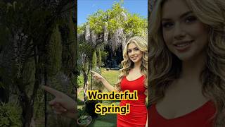 The Wonders of Spring 🌷