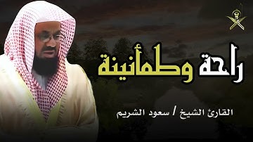 "صوت يريح القلب ويغسل الروح.. تلاوة الطمأنينة بصوت الشيخ سعود الشريم"