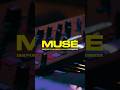Moog Muse | Nas Illmatic 30 Year Anniversary Tour | Markay Fairley | PPAC