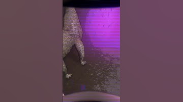 I UNDERESTIMATED him! #lethalcompanygame