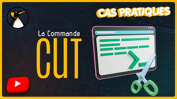 CMDécouverte: knippen om tekstgedeelten te verwijderen