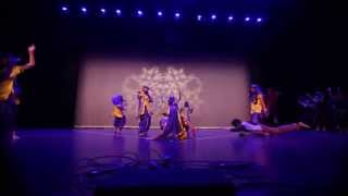 Sanskriti 2013: Bhangra Harlem Shake