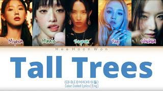 (G)I-DLE ((여자)아이들) - Tall Trees [Eng] Color Coded Lyrics