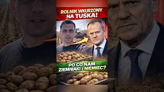 ROLNIK WKURZONY NA TUSKA #viral #tusk #shorts #rolnictwo