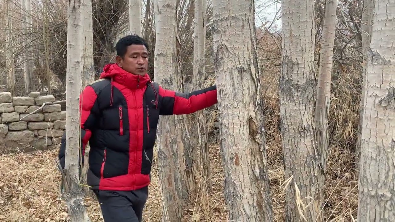 Intro of my small property which is at Spituk, #hometownvlogs #dad #mom #familyvlog #nature 