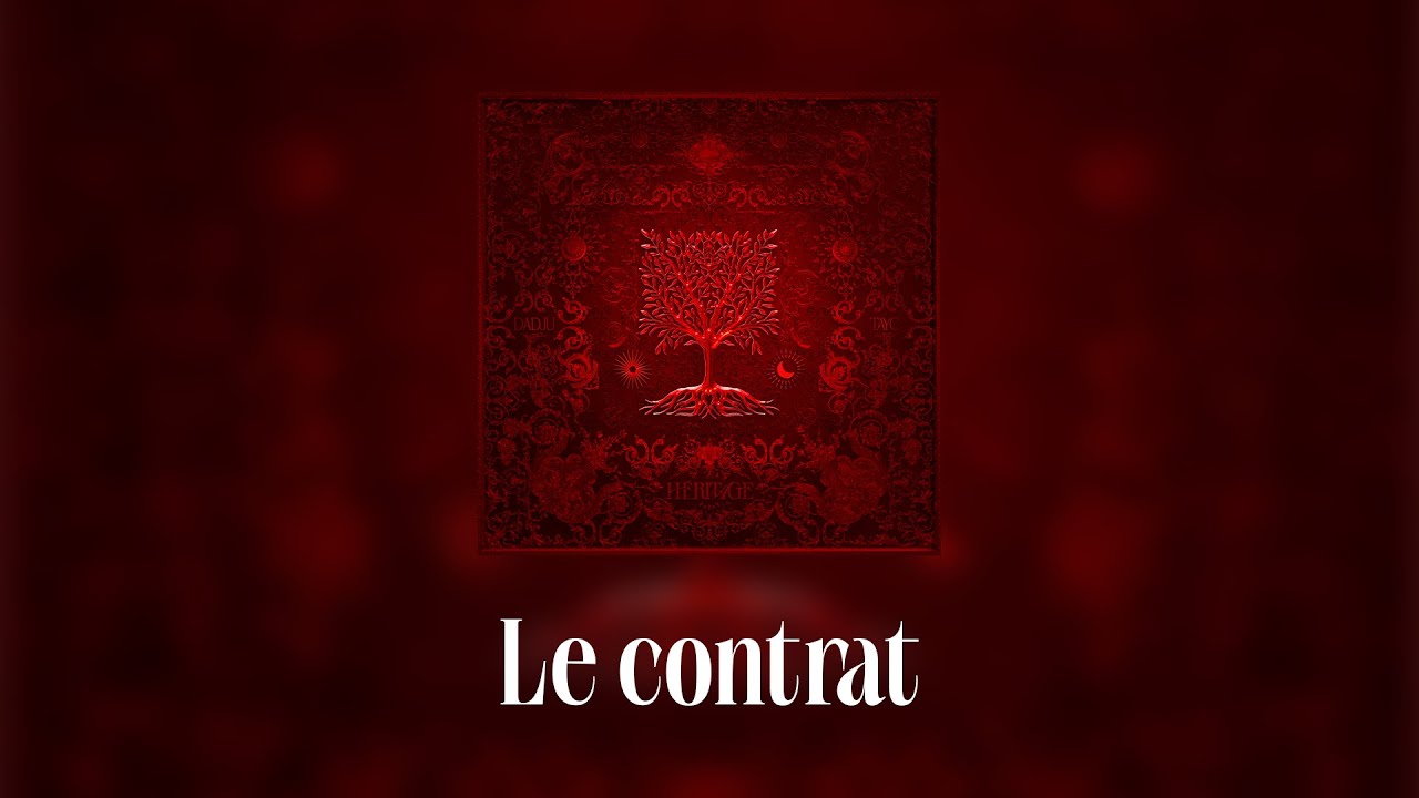Dadju  Tayc   Le Contrat Lyrics video