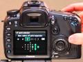 Pinpointing focus with the Canon 7D