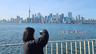 🇨🇦 남의 삶 ep.1 | VLOG 캐나다 토론토 워홀러 일상