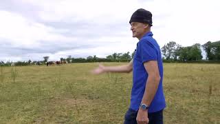 Mark Harold-Barry Farming for Nature Ambassador 2022
Mark Harold-Barry runs a mixed organic farm outside Tipperary Town. The 170-acre farm has been certified organic for almost 20 years. Mark grows organic oats for Flahavans and for winter feeding for his stock, he also grows seed oats for Gold Crop. There is about 90 acres of grassland on the farm, which is a mixture of permanent pasture and multispecies swards. Mark keeps a suckler herd of about 25 Aberdeen Angus/Hereford cattle and all of the animals are finished on the farm. He also keeps about 20 hives of honeybees, and the honey is sold locally in Tipperary. The family manage a kitchen garden on the farm and are relatively self-sufficient during the summer months. The farm is extensively managed and external inputs are minimal.
There is about 40acres of woodland on the farm â a mix of hardwood and softwood trees, some very mature and some much younger. Mark follows in this fathers footsteps and continuously plants trees on the land â My father is a great man and he has a policy of planting about half an acre of trees on the farm every year since he came here. The woodland provides a wonderful habitat for wildlife. There is a river running through the farm and a pond on the land which attract birds such as the kingfisher, ducks and snipe. Ditches, hedgerows and field margins provide thick nature corridors throughout the land. Mark is proud to run a productive farm, all the while leaving plenty of space for wildlife and biodiversity to thrive.
The Farming for Nature Awards 2022 are supported by Bord Bia. Mark Harold-Barry Farming for Nature Ambassador 2022