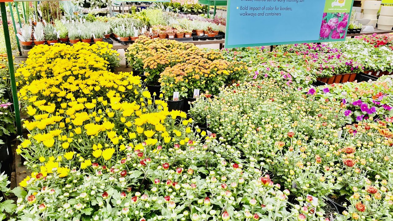 ARMSTRONG GARDEN CENTER IN MONROVIA, CALIFORNIA ( PART 2 ) YouTube