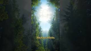 Jesus, Walk with me each day. #christianworship #mustwatch #music #catholicdevotion #jesus #hope