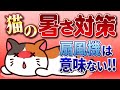【6月から!】猫の暑さ対策大丈夫??獣医が正しい熱中症対策を紹介します!