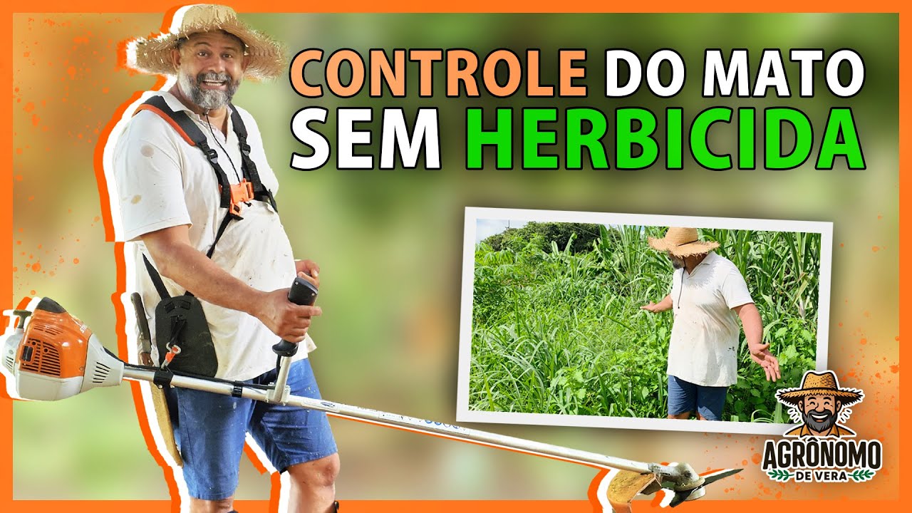 Como controlar MATO sem usar QUÍMICOS