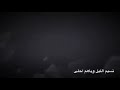 دارميات حزينة 