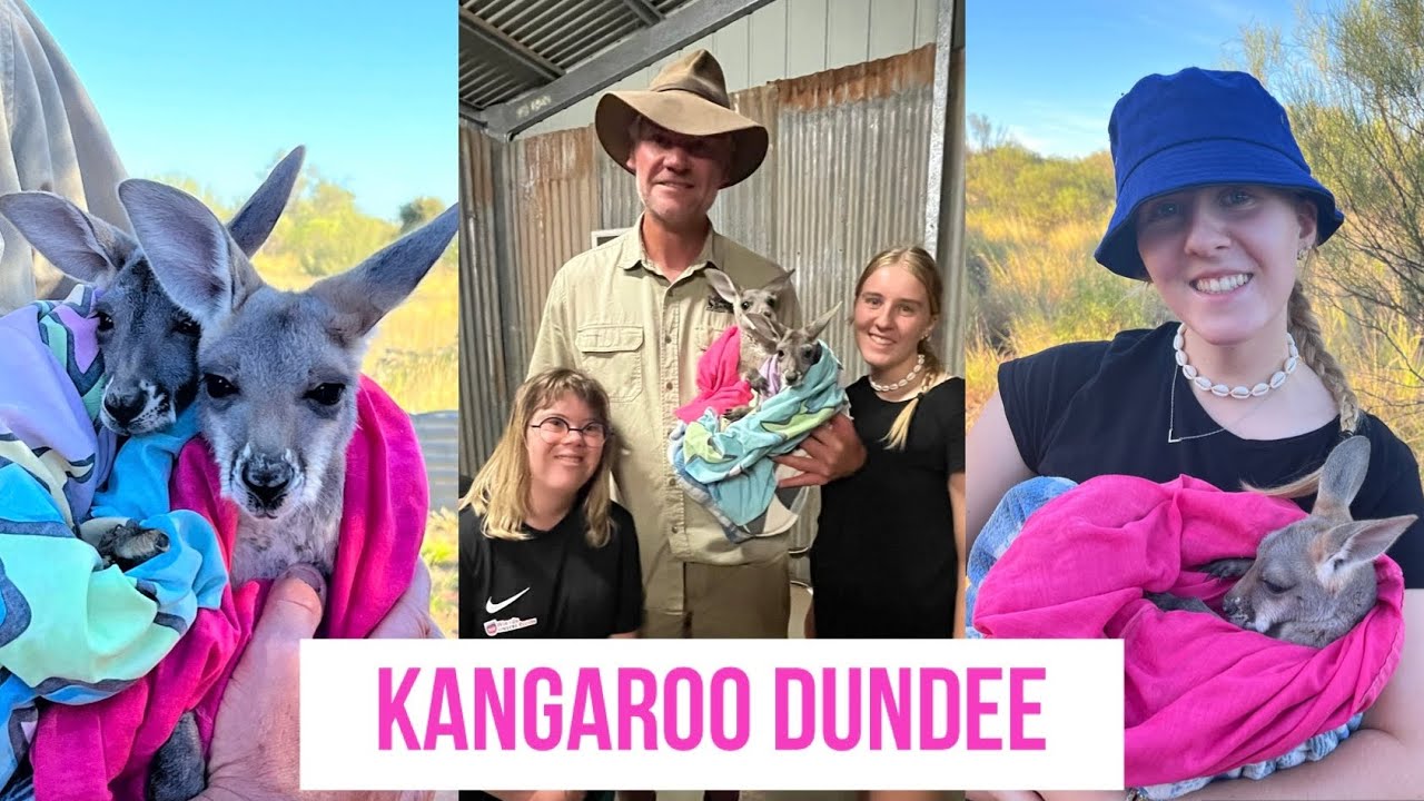 Kangaroo Sanctuary in Alice Springs! | Travelling Australia