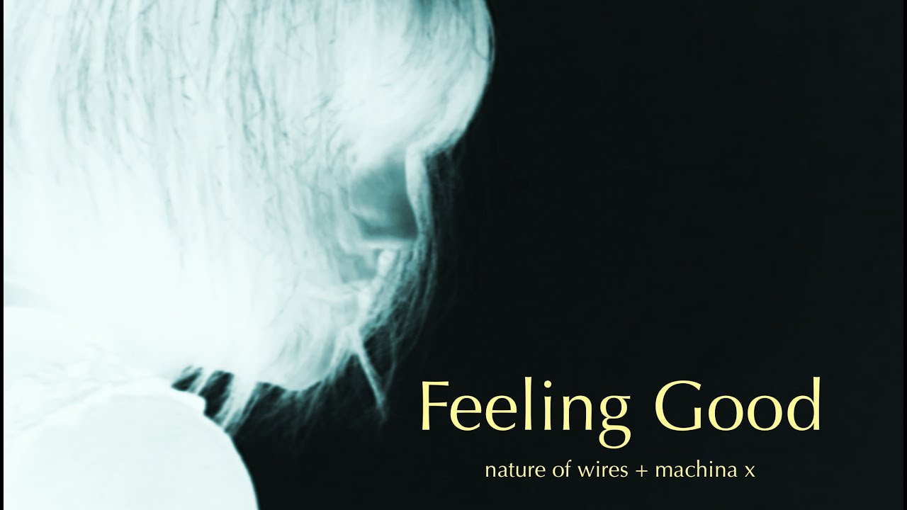 Watch FEELING GOOD - NATURE OF WIRES + MACHINA X on YouTube Watch FEELING GOOD - NATURE OF WIRES + MACHINA X on YouTube