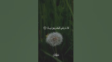 أولم ير الإنسان أنا خلقناه من نطفة فإذا هو خصيم مبين [ يس: 77 - 79 ] القارئ وديع اليمني