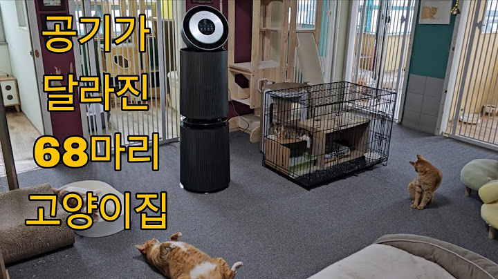(2025.7.13) 68마리 고양이집 - 병원다녀온 아기 고양이들 , 공기 청정기 감사합니다~