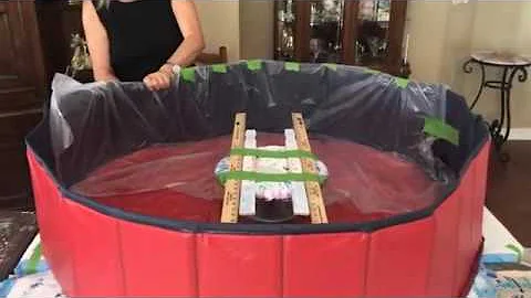 #236 Preparing My Large Puppy Pool and Cake Spinne...