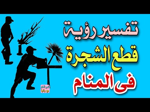 تفسير رؤية قطع الشجرة فى المنام رؤية قطع الأشجار فى المنام