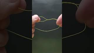 This is a knot you should know T-knot. Twisted dropper loop.