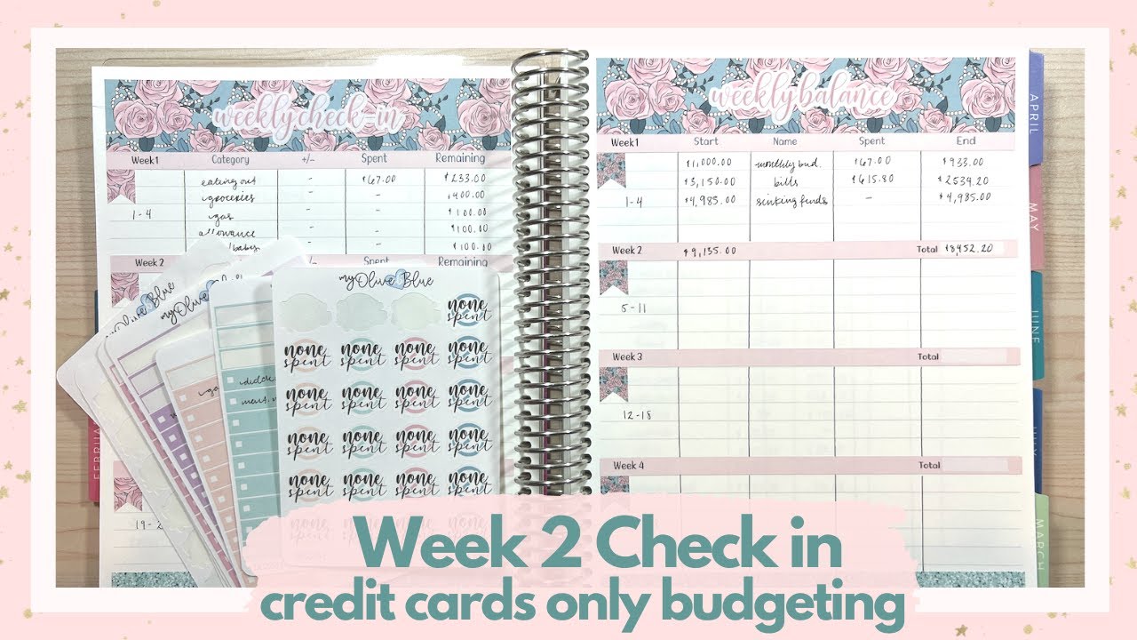 february-week-2-check-in-805-dentist-bill-cashless-budgeting