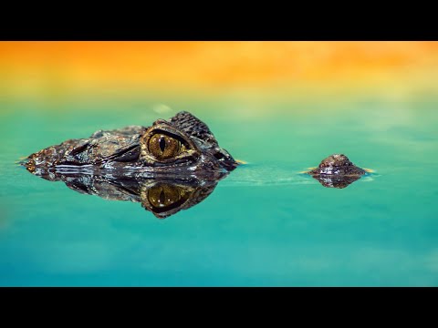 Beautiful Relaxing Music to Relieve Stress #nature #relaxingmusic #relaxmusic