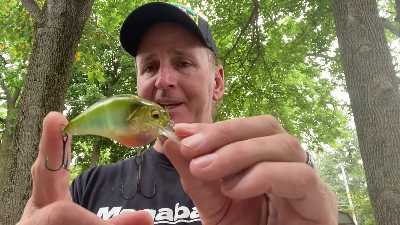 The Three Megabass Lures Pros Don't Want You To Know About! 